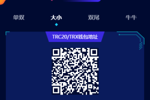 已测试【哈希】前端vue版哈希竞彩/区块链哈希值游戏/usdt/trx双玩法