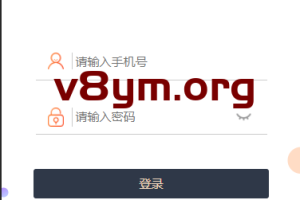 理财【连单】多语言v8抢单深度二开前端ui重构增加连单设置